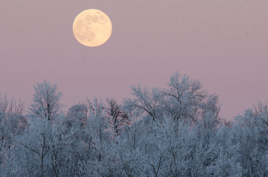December 2025 Full Moon — Cold Moon of Release, Renewal, and Returning to Your Wild Spirit